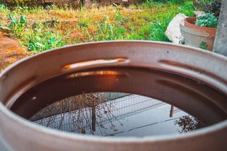 Dešťovka se může vyplatit víc než dřív. Na sud či nádrž lze získat tisíce korun - Médium.cz